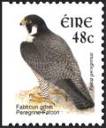 Colnect-1902-374-Peregrine-Falcon-Falco-peregrinus.jpg