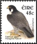 Colnect-1902-375-Peregrine-Falcon-Falco-peregrinus.jpg