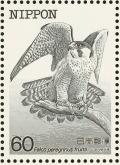 Colnect-608-838-Peregrine-Falcon-Falco-peregrinus-ssp-furuitii.jpg