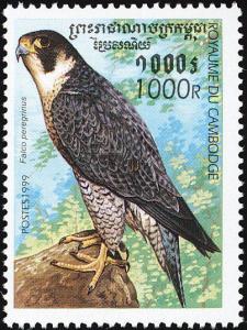 Colnect-1527-021-Peregrine-Falcon-Falco-peregrinus.jpg