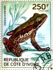 Colnect-3444-484-Ivory-Coast-Frog-Hylarana-occidentalis.jpg