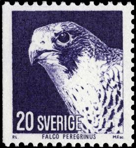 Colnect-4290-187-Peregrine-Falcon-Falco-peregrinus-.jpg