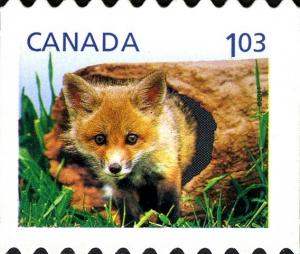 Colnect-3091-599-Red-Fox-Vulpes-vulpes.jpg