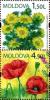 Colnect-2618-106-Wild-Flowers-of-Moldova.jpg