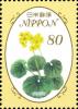 Colnect-3049-496-Leopard-Plant-Flowers-Farfugium-japonicum.jpg