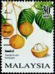 Colnect-1044-392-Rare-Fruits-of-Malaysia.jpg