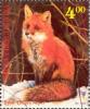 Colnect-1283-798-Red-Fox-Vulpes-vulpes.jpg