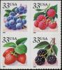 Colnect-4172-564-Fruit-Berries.jpg