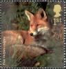 Colnect-1801-793-Red-Fox-Vulpes-vulpes.jpg