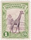 Colnect-1003-999-Giraffe-Giraffa-camelopardalis.jpg