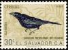 Colnect-1102-149-Great-tailed-Grackle-Quiscalus-mexicanus.jpg