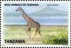 Colnect-1692-783-Giraffe-Giraffa-camelopardalis.jpg