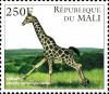 Colnect-5876-195-Giraffe-Giraffa-camelopardalis.jpg