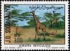 Colnect-6211-312-Reticulated-Giraffe-Giraffa-camelopardalis-reticulata.jpg