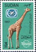 Colnect-1870-926-Reticulated-Giraffe-Giraffa-camelopardalis-reticulata.jpg