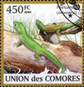 Colnect-3798-553-Comoros-Day-Gecko-Phelsuma-comorensis.jpg