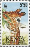 Colnect-4539-088-Reticulated-Giraffe-Giraffa-camelopardalis-reticulata.jpg