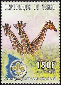 Colnect-2395-298-Giraffe-Giraffa-camelopardalis.jpg