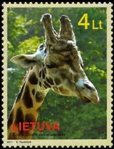 Colnect-3778-973-Giraffe-Giraffa-camelopardalis.jpg