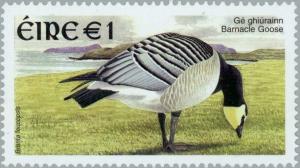 Colnect-129-897-Barnacle-Goose-Branta-leucopsis.jpg