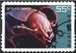 Colnect-1537-971-Ground-Beetle.jpg