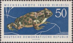 Colnect-1974-297-European-Green-Toad-Bufo-viridis.jpg