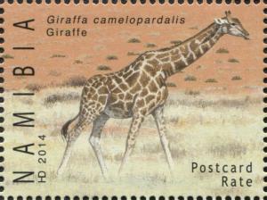 Colnect-3065-098-Giraffe-Giraffa-camelopardalis.jpg