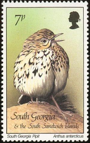 Colnect-4202-741-Birds-1987---South-Georgia-Pipit-Anthus-antarcticus.jpg