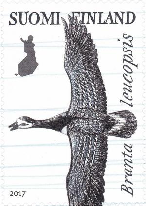 Colnect-4439-744-Barnacle-goose-Branta-leucopsis.jpg
