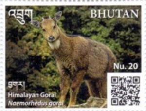 Colnect-5577-080-Himalayan-Goral-Naemorhedus-goral.jpg