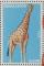Colnect-1873-936-Giraffe-Giraffa-camelopardalis.jpg