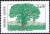 Colnect-4178-950-Tree-Gossypium-arboreum.jpg