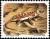 Colnect-5207-308-Namib-Sand-Gecko-Palmatogecko-rangei.jpg
