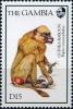 Colnect-4674-253-Guinea-baboon.jpg