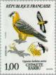 Colnect-145-585-Bearded-Vulture-Gypaetus-barbatus-ssp-aureus.jpg