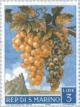 Colnect-169-765-Bunch-of-Grapes-Vitis-vinifera.jpg