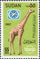 Colnect-1870-927-Reticulated-Giraffe-Giraffa-camelopardalis-reticulata.jpg