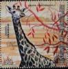 Colnect-2182-892-Giraffe-Giraffa-camelopardalis.jpg