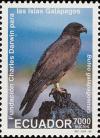 Colnect-1712-914-Galapagos-Hawk-Buteo-galapagoensis.jpg