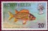 Colnect-1724-043-Soldierfish-Holocentrus-seychellensis.jpg