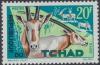 Colnect-2161-117-Scimitar-horned-Oryx-Oryx-dammah.jpg