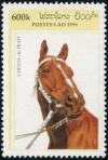 Colnect-2786-558-Cold-blooded-Horse-Equus-ferus-caballus.jpg