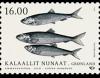 Colnect-4976-626-Atlantic-Herring-Clupea-harengus.jpg