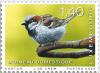 Colnect-6570-526-House-Sparrow.jpg