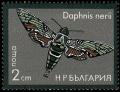 Colnect-1213-596-Oleander-Hawk-Moth-Daphnis-nerii.jpg