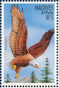 Colnect-1631-909-Bald-Eagle-Haliaeetus-leucocephalus.jpg