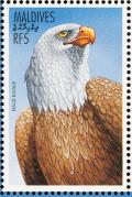 Colnect-1631-912-Bald-Eagle-Haliaeetus-leucocephalus.jpg