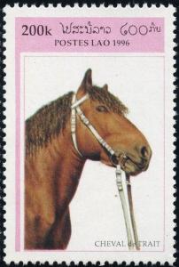 Colnect-2786-556-Cold-blooded-Horse-Equus-ferus-caballus.jpg