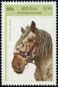 Colnect-2786-555-Cold-blooded-Horse-Equus-ferus-caballus.jpg