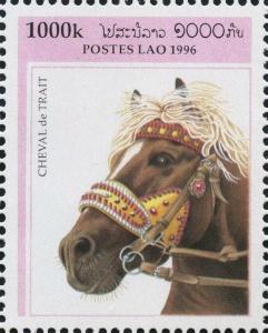 Colnect-2790-100-Cold-blooded-Horse-Equus-ferus-caballus.jpg